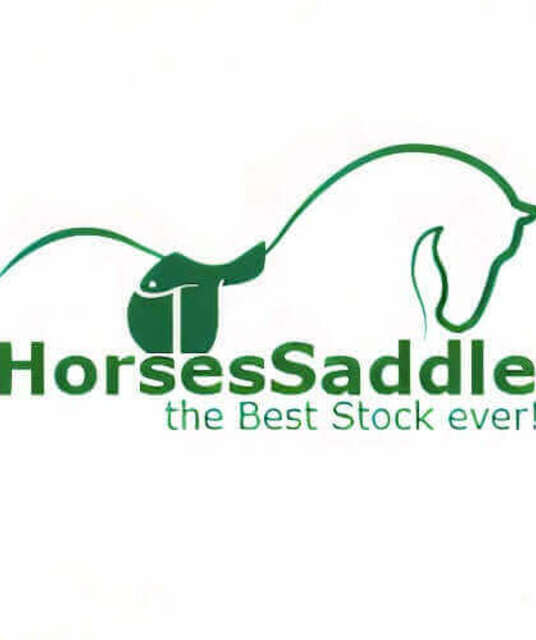 avatar Horse Saddle